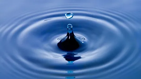 a drop causing ripples on the water's surface