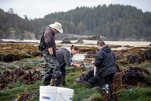 Field researchers dig into the earth.
