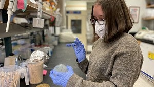 Biologist examines in research laboratory.