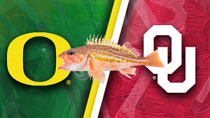 Fish in between University of Oregon and the University of Oklahoma logos