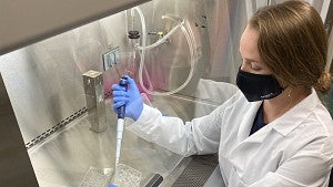 aitlin Kowalski applying the bacterial pathogen S. aureus to yeast-colonized human skin biopsies in the Barber Lab at the UO’s Institute of Ecology and Evolution.