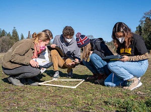 Students surveying plant species in field