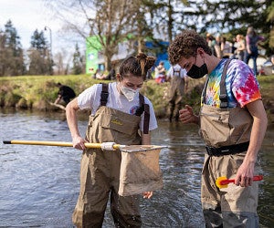 students in waders surveying aquatic macroinvertebrates in stream at Alton Baker park