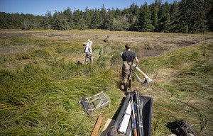 people with fieldwork equipment in estuary