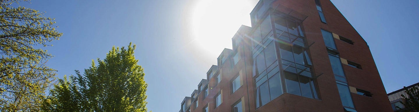 School of Global Studies and Languages