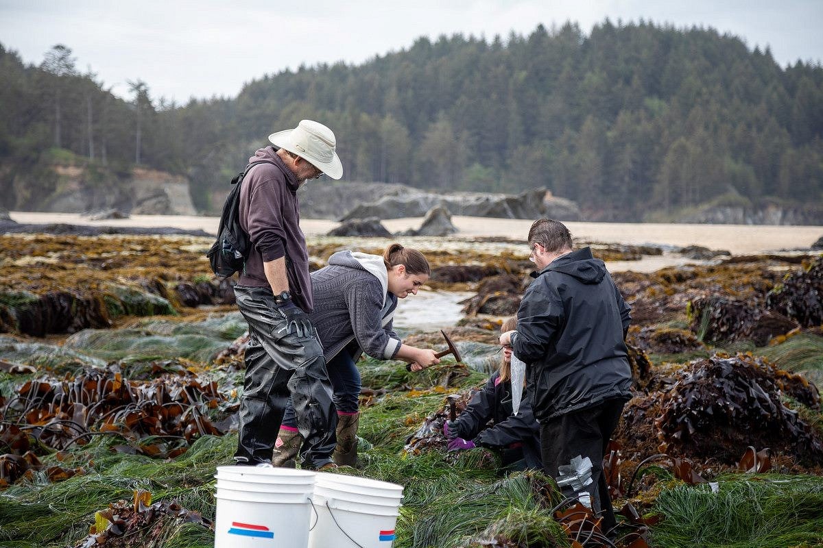 Field researchers dig into the earth.