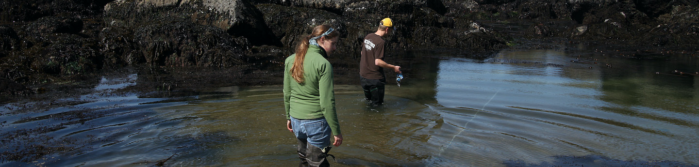 CAS_research_hero image_researchors on the beach