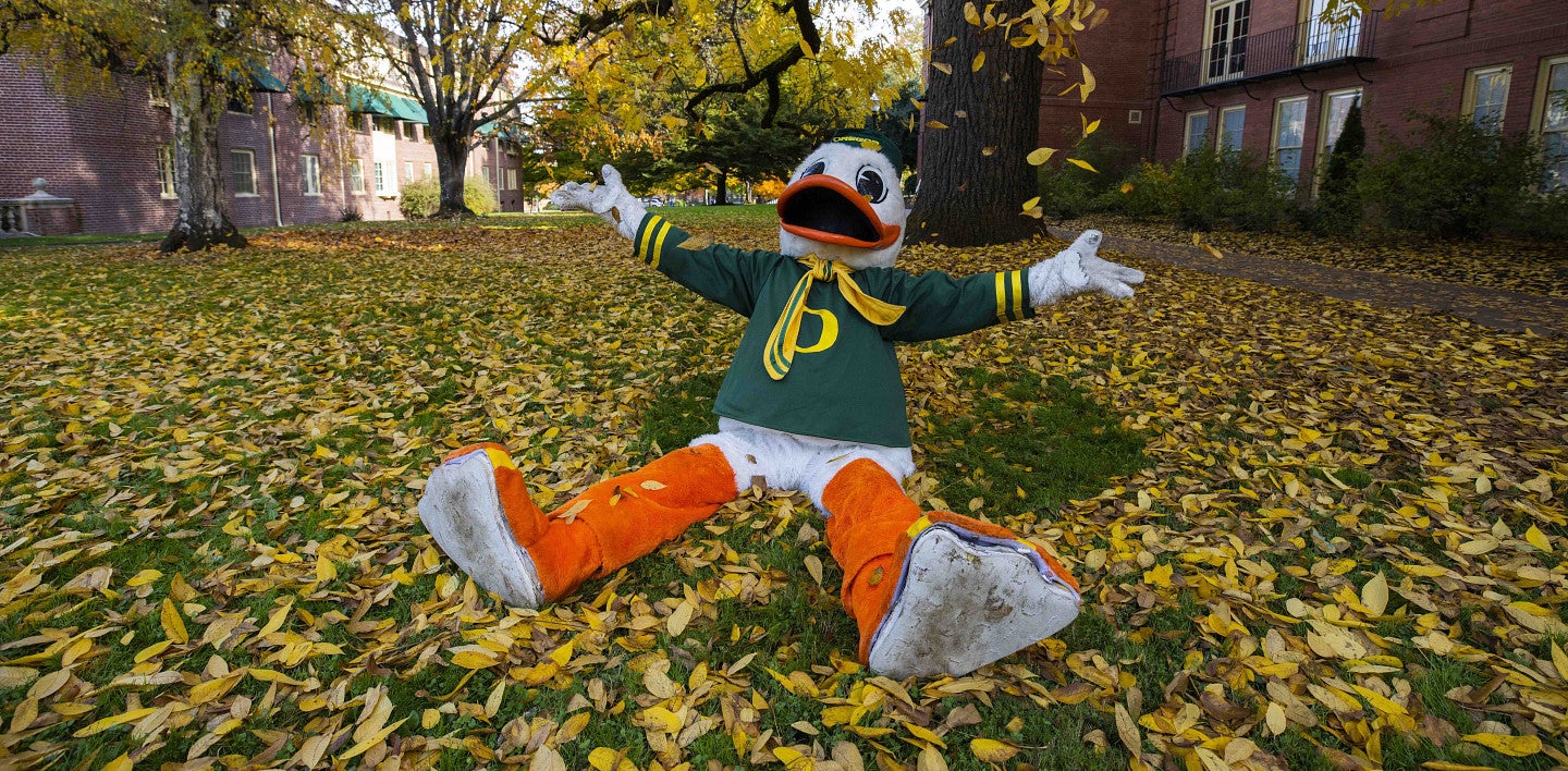 Duck in Leaves