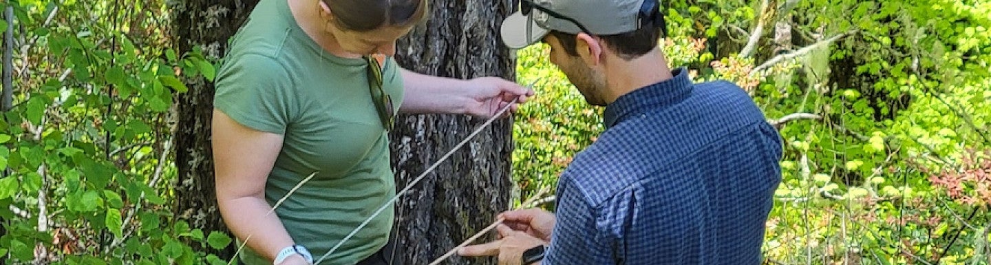CAS research sponsored-lucash-preserving state's forests-2022