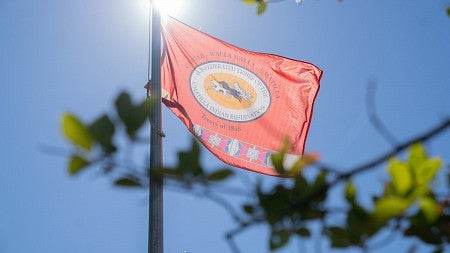 A Confederated tribes of the Umatilla Indian Reservation flag flying at the University of Oregon longhouse.