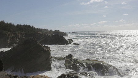 A view of the Oregon coast 