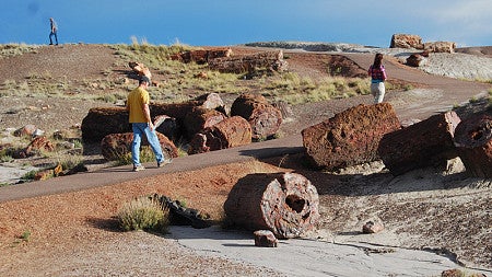 Visitors hike past fossilized tree trunks in Petrified Forest Nationial Park in Arizona, where research was conducted on using satellite imagery to identify fossil sites.