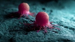 A UO researcher is part of a team that is uncovering the blueprint for an enzyme known to cause cancer. Above: an illustration of a cancer cell.