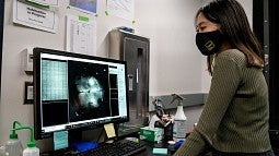 A student looks at computer with MRI scan displayed