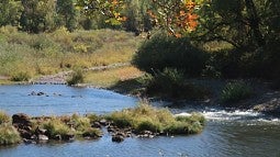 Coast Fork Willamette River, Kalapuya ilihi