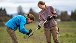 Researchers test soil