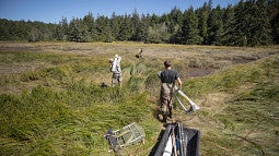 people with fieldwork equipment in estuary