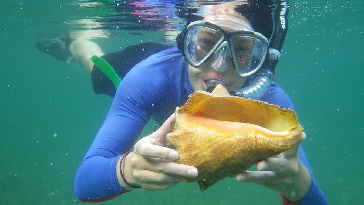 christina snorkeling and holding a conch shell