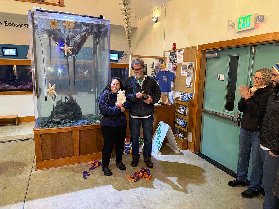 Photograph accompanying Oregon Institute of Marine Biology team finds three new brittle star species in coastal plankton