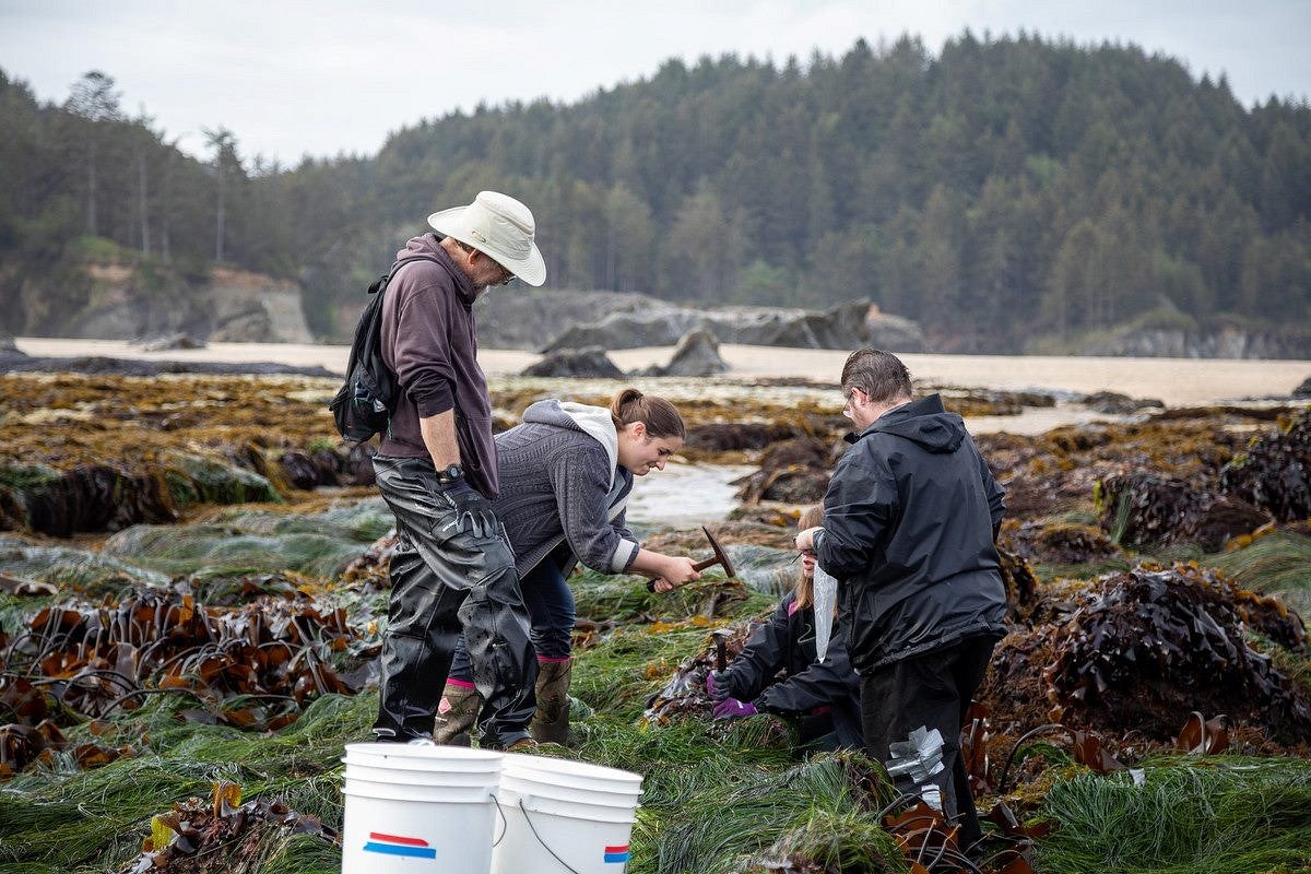 Field researchers dig into the earth. 