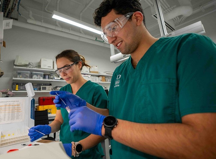 Two students working in a lab wearing scrubs and safety glasses