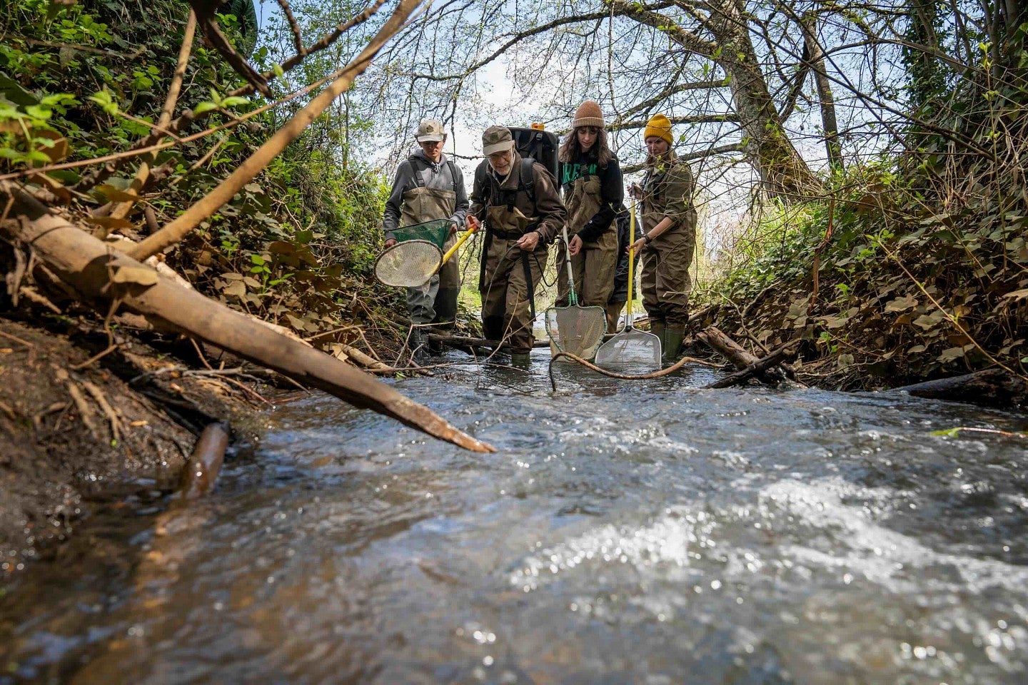 students in a river with nets