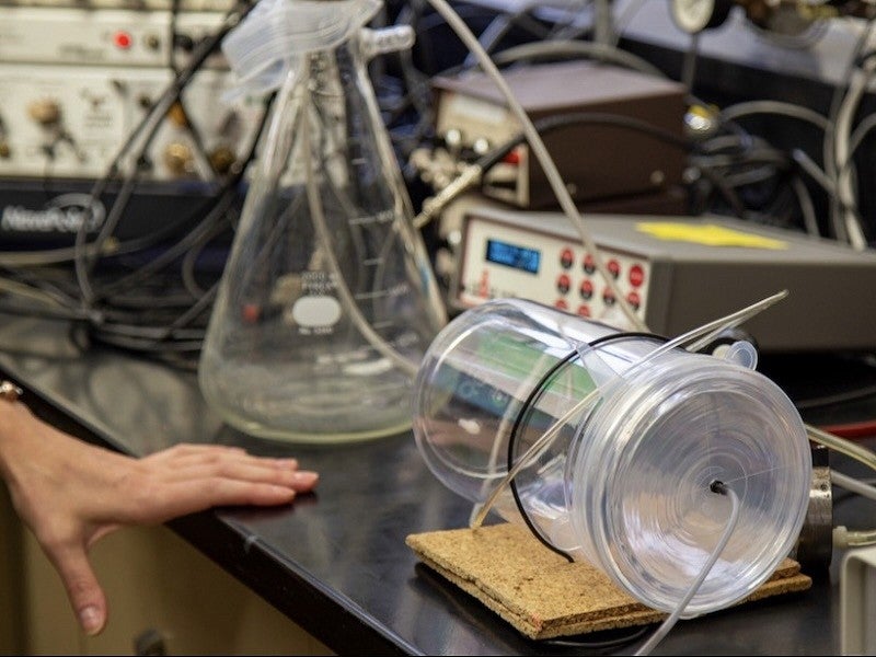 testing equipment in the human physiology lab