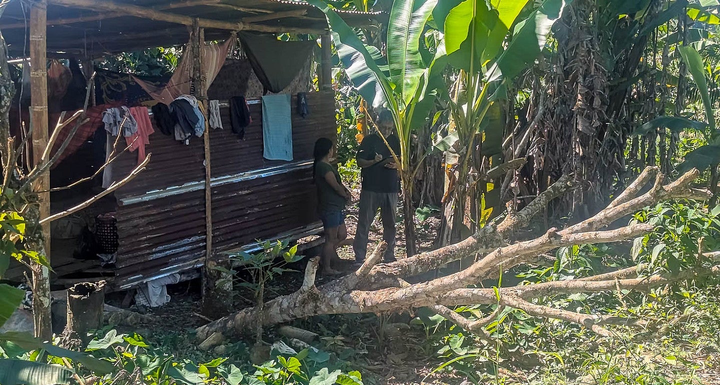 a person in the amazon forest