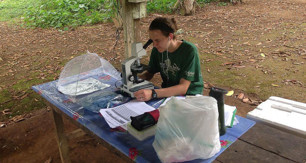 a person sitting in front of a microscope