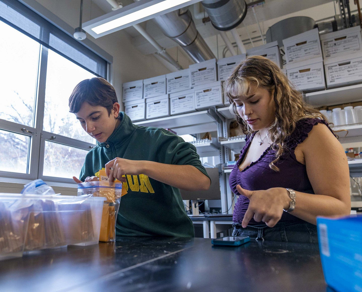 two people going through files in a lab setting
