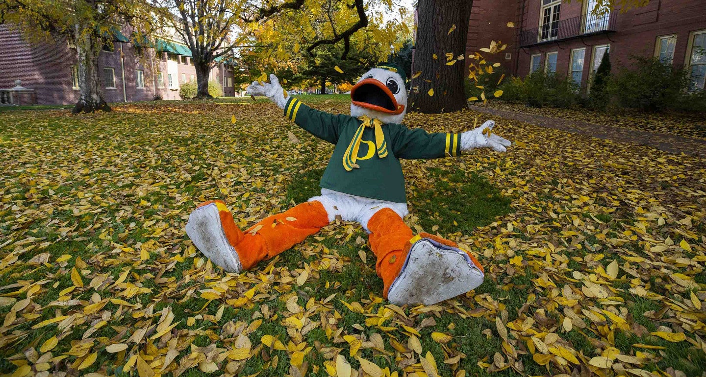 the Oregon duck on a ground full of leaves