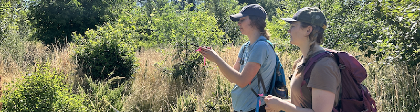 Student researchers on Professor Lucas Silva’s team are studying whether replanting vegetation along rivers can help mitigate the effects of climate change.