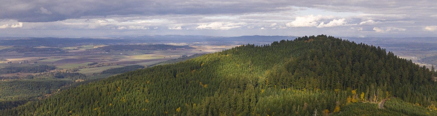 mountain view