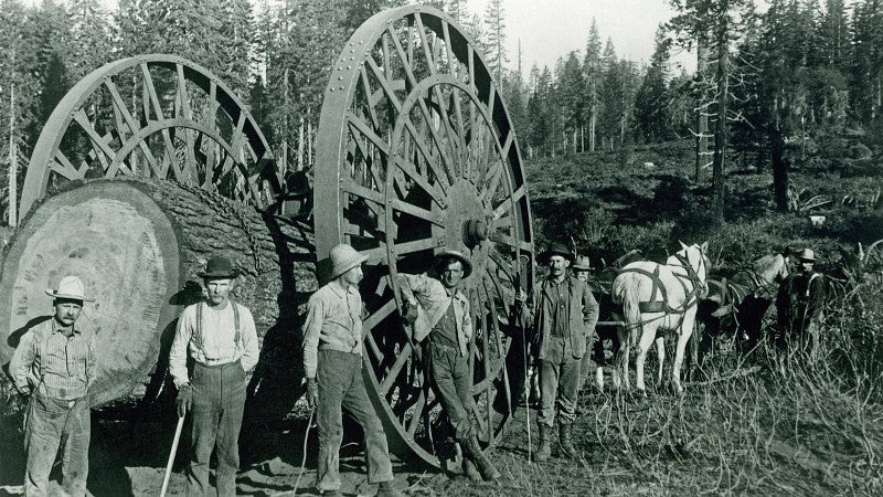 timber workers 