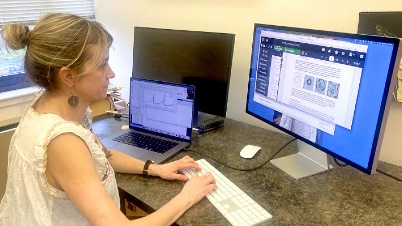 A researcher analyzing data on a computer