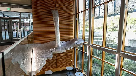 Two-story waterfall sculpture installed in a stairwell