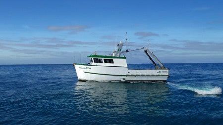 new OIMB boat at sea