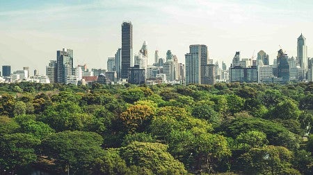 a cityscape with trees in the forefront