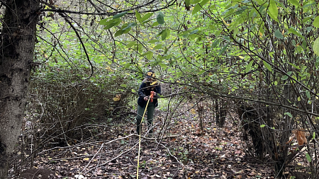 Fieldwork for climate change in the forest