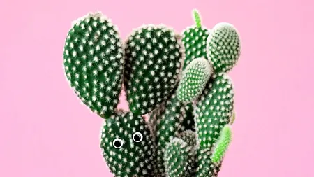a cactus with googly eyes
