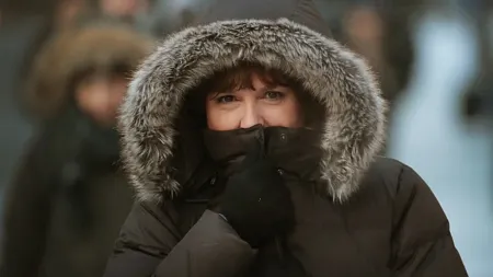 a person wearing a fur-lined jacket hood in the cold