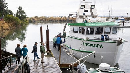 Oregon Institute of Marine Biology boat Megalopa