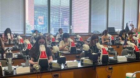 students in a classroom using microscopes