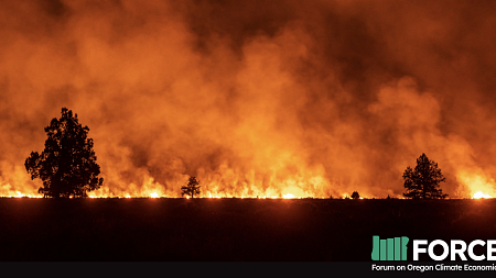 a landscape photo of a wildfire burning at night