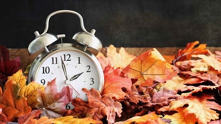 autumn leaves cover an alarm clock