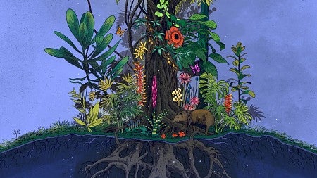 an illustration of the ecosystems of the Amazon that features plants and creatures