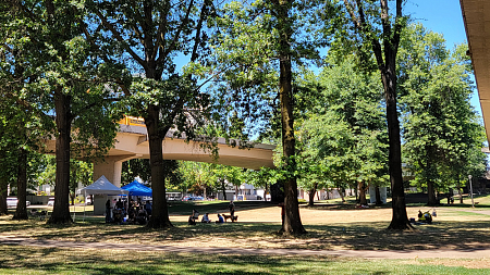 A park with tents set up for health screenings