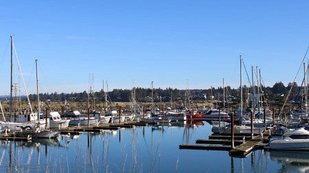 Boats marooned in a harbor