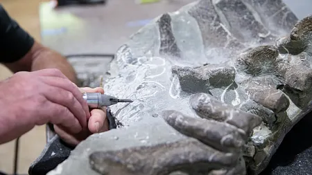 a man drilling a fossil 