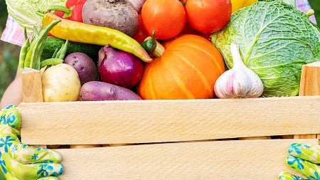 a person holding a box full of vegetables